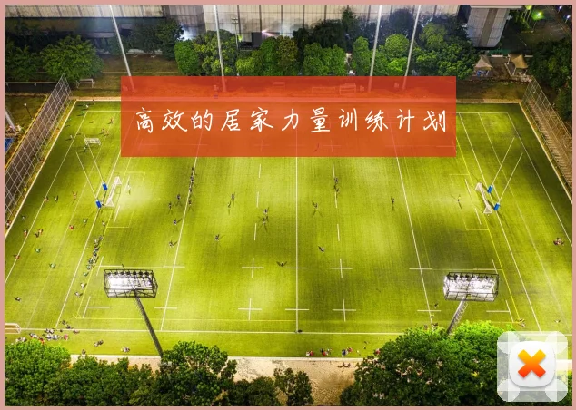 高效的居家力量训练计划