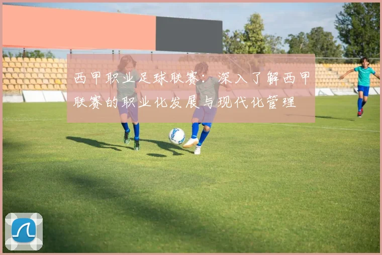 西甲职业足球联赛：深入了解西甲联赛的职业化发展与现代化管理