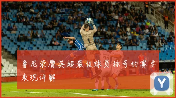 鲁尼荣膺英超最佳球员称号的赛季表现详解