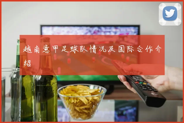 越南意甲足球队情况及国际合作介绍
