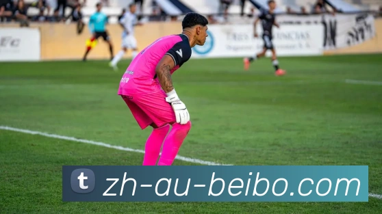 BB体育下载发展历程