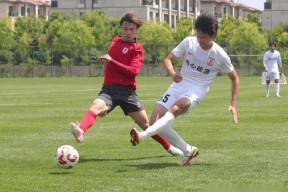 贝博体育官网-高清加油图片合集：意甲球队球迷视觉素材精选
