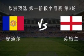 贝博体育官网-火箭队球员薪资结构及薪酬市场对比研究